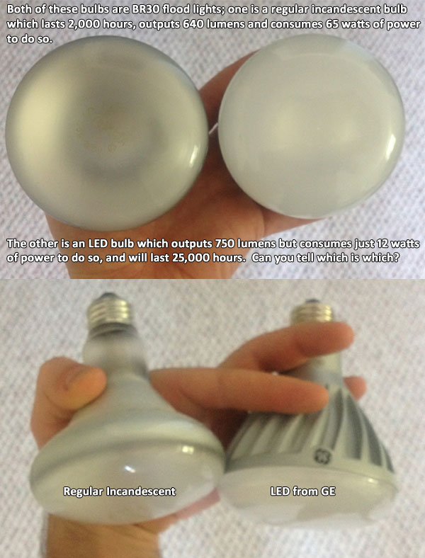 Incandescent vs LED bulb
